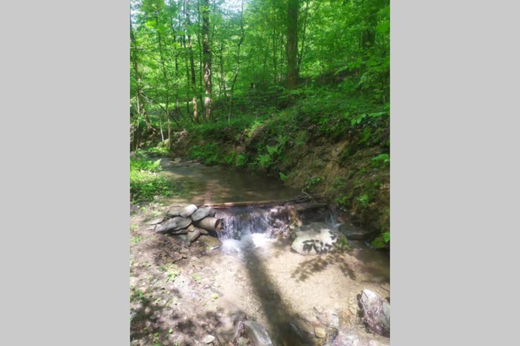 Villa Maringotka Na Jamajce Šternberk Esterno foto